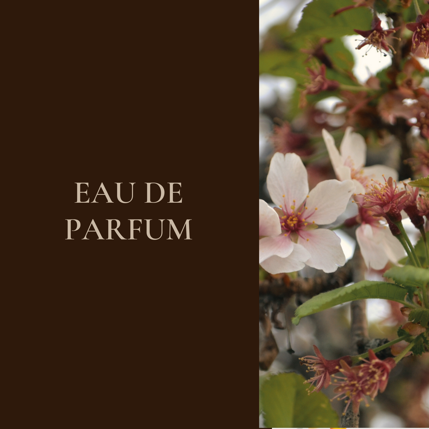 Eau de Parfum